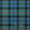 Baird Ancient Tartan Medium Weight Acrylic Fabric