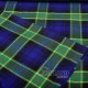 Barnes Ancient Tartan Fabric by the Yard | 16 oz Medium Weight Barnes Ancient Tartan Fabric by the Yard | 16 oz Medium Weight