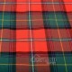 Boyd Ancient Tartan Fabric by the Yard | 16 oz Medium Weight Boyd Ancient Tartan Fabric by the Yard | 16 oz Medium Weight