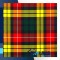 Buchanan Modern Tartan Medium Weight Acrylic Fabric