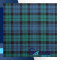 Campbell Ancient Tartan Medium Weight Acrylic Fabric