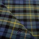 Campbell of Breadalbane Tartan | 16 oz by Yard Campbell of Breadalbane Tartan | 16 oz by Yard