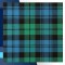Grant Hunting Ancient Tartan Medium Weight Acrylic Fabric