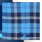 Ramsey Blue Hunting Tartan Medium Weight Acrylic Fabric