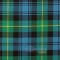 Watson Ancient Tartan Fabric - Medium Weight Acrylic Fabric