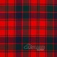Robertson Red Modern Tartan 8 Yard Kilt – Scottish Clan Kilts